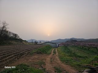 흥부네땅님의 기타작물 · 영농일지 작성글 사진