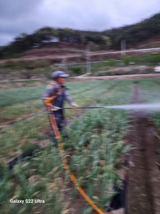 박종권님의 마늘 · 영농일지 작성글 사진