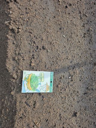 나선기님의 기타작물 · 영농일지 작성글 사진