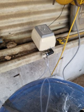 박치문님의 블루베리 · 영농일지 작성글 사진