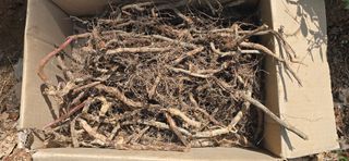 돌복숭아님의 기타작물 · 영농일지 작성글 사진