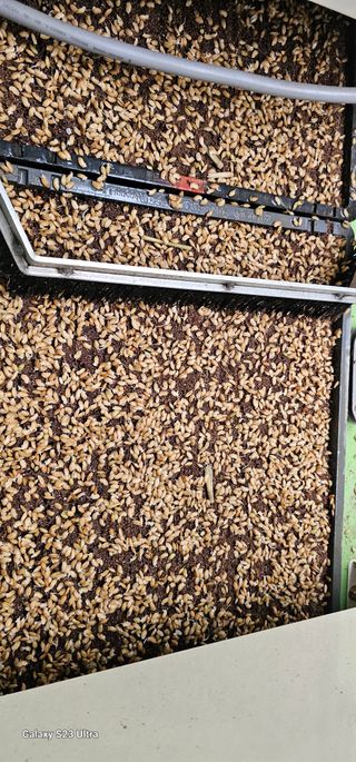 양태종님의 기타작물 · 영농일지 작성글 사진