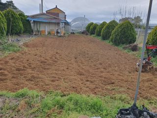 마바리63님의 기타작물 · 영농일지 작성글 사진