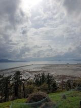 팜모닝 기타작물·영농일지 게시글 이미지