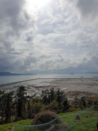 김윤숙님의 기타작물 · 영농일지 작성글 사진