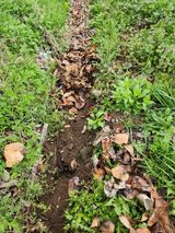 팜모닝 기타작물·영농일지 게시글 이미지