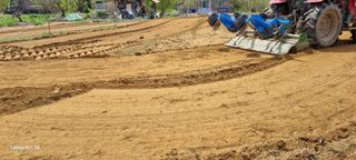 감자5892님의 고구마 · 영농일지 작성글 사진