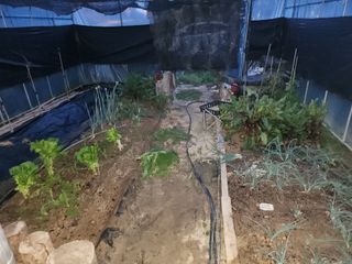 김진영님님의 기타작물 · 영농일지 작성글 사진