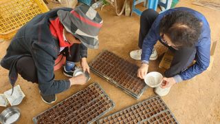 수성농민님의 기타작물 · 영농일지 작성글 사진