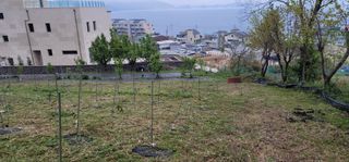 박종화님의 기타작물 · 영농일지 작성글 사진