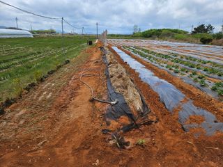 강창원님의 기타작물 · 영농일지 작성글 사진