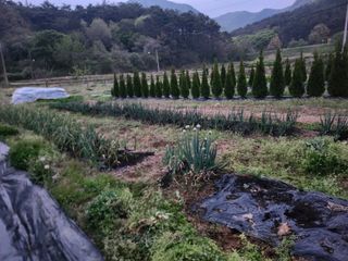 김진영님님의 기타작물 · 영농일지 작성글 사진