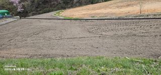 초보농부님의 벼 · 영농일지 작성글 사진