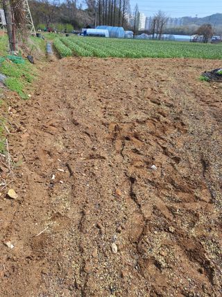 마늘25328님의 기타작물 · 영농일지 작성글 사진