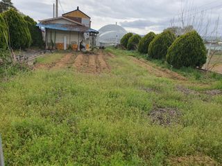 마바리63님의 기타작물 · 영농일지 작성글 사진