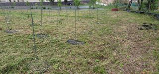 박종화님의 기타작물 · 영농일지 작성글 사진