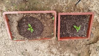 권혁렬님의 기타작물 · 영농일지 작성글 사진