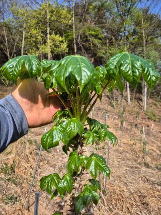 강인규님의 기타작물 · 영농일지 작성글 사진