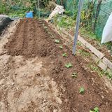 팜모닝 오이·영농일지 게시글 이미지