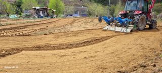 감자5892님의 고구마 · 영농일지 작성글 사진