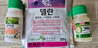 달맛햇복숭아농원님의 복숭아 · 영농일지 작성글 사진