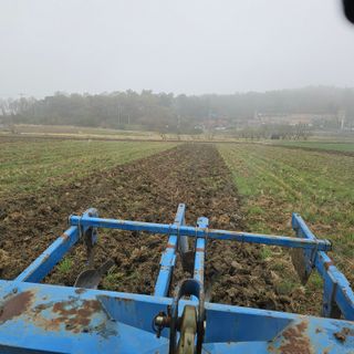 전준식님의 벼 · 영농일지 작성글 사진