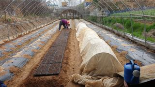 수성농민님의 기타작물 · 영농일지 작성글 사진