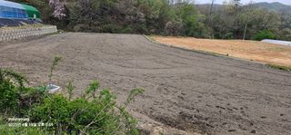 초보농부님의 벼 · 영농일지 작성글 사진