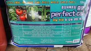 준우아빠님의 오이 · 영농일지 작성글 사진