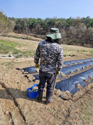 백운농원 님의 기타작물 · 영농일지 작성글 사진