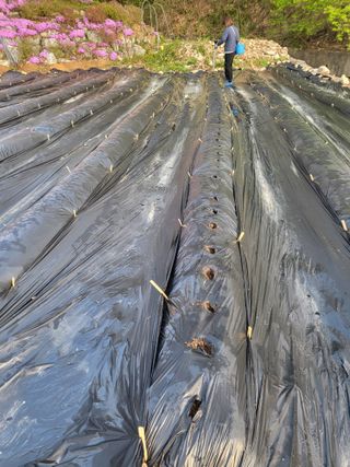 이상욱님의 기타작물 · 영농일지 작성글 사진