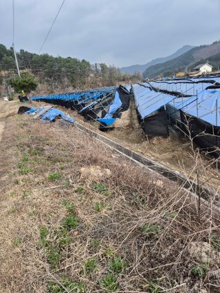 노나라138님의 기타작물 · 영농일지 작성글 사진