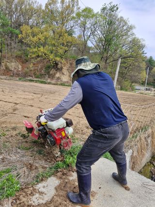 백운농원 님의 기타작물 · 영농일지 작성글 사진
