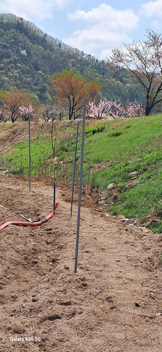 용기님의 기타작물 · 영농일지 작성글 사진