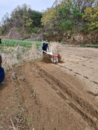 백운농원 님의 기타작물 · 영농일지 작성글 사진