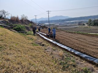 이명숙님의 기타작물 · 영농일지 작성글 사진