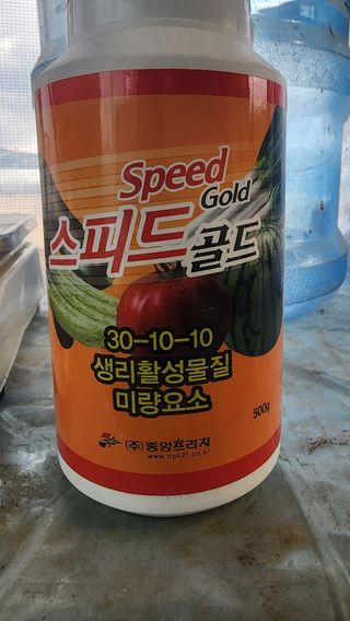 준우아빠님의 오이 · 영농일지 작성글 사진