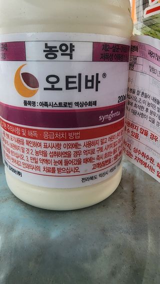 준우아빠님의 오이 · 영농일지 작성글 사진