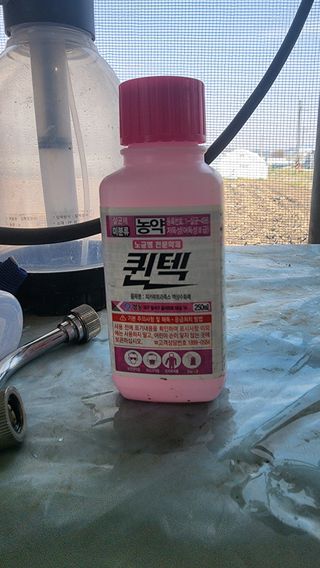 준우아빠님의 오이 · 영농일지 작성글 사진