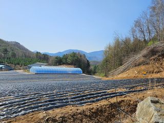 이석민님의 기타작물 · 영농일지 작성글 사진