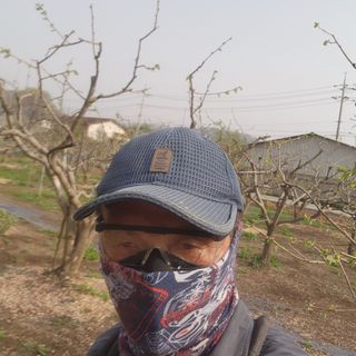 대운농원님의 기타작물 · 영농일지 작성글 사진