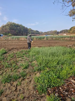 백운농원 님의 기타작물 · 영농일지 작성글 사진