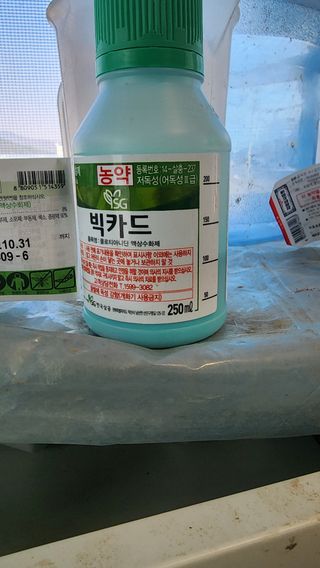 준우아빠님의 오이 · 영농일지 작성글 사진