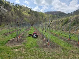 이흥식(청아농원)님의 사과 · 영농일지 작성글 사진