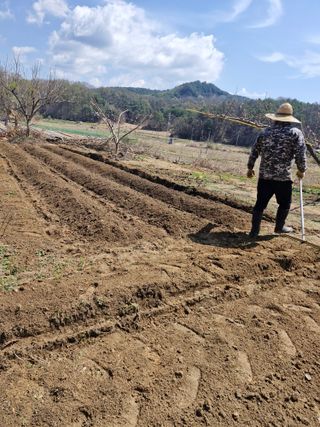 백운농원 님의 기타작물 · 영농일지 작성글 사진