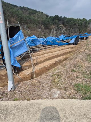 노나라138님의 기타작물 · 영농일지 작성글 사진