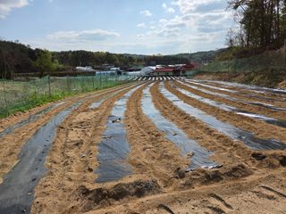 장두학님의 기타작물 · 영농일지 작성글 사진