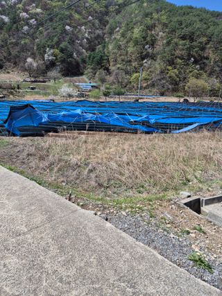 노나라138님의 기타작물 · 영농일지 작성글 사진