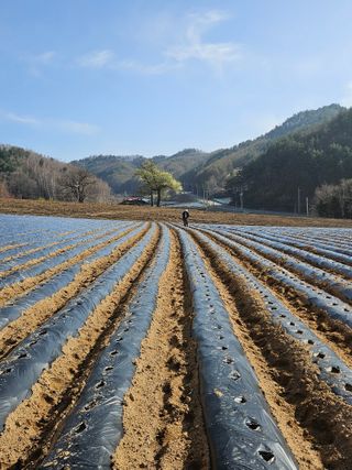 이석민님의 기타작물 · 영농일지 작성글 사진