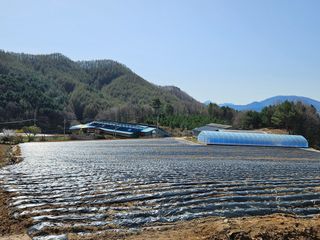 이석민님의 기타작물 · 영농일지 작성글 사진